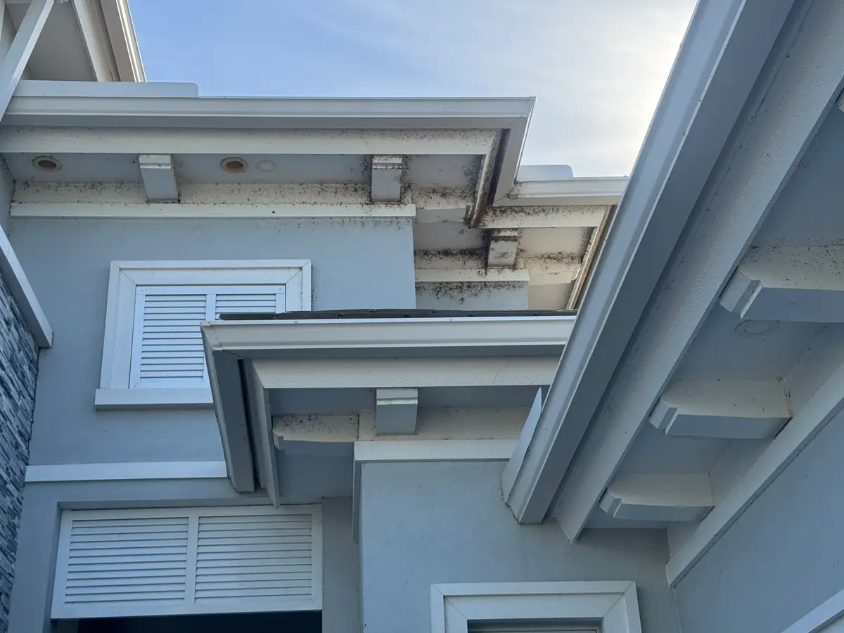 The wall and roof eaves of a house with heavy black growth across the surface.